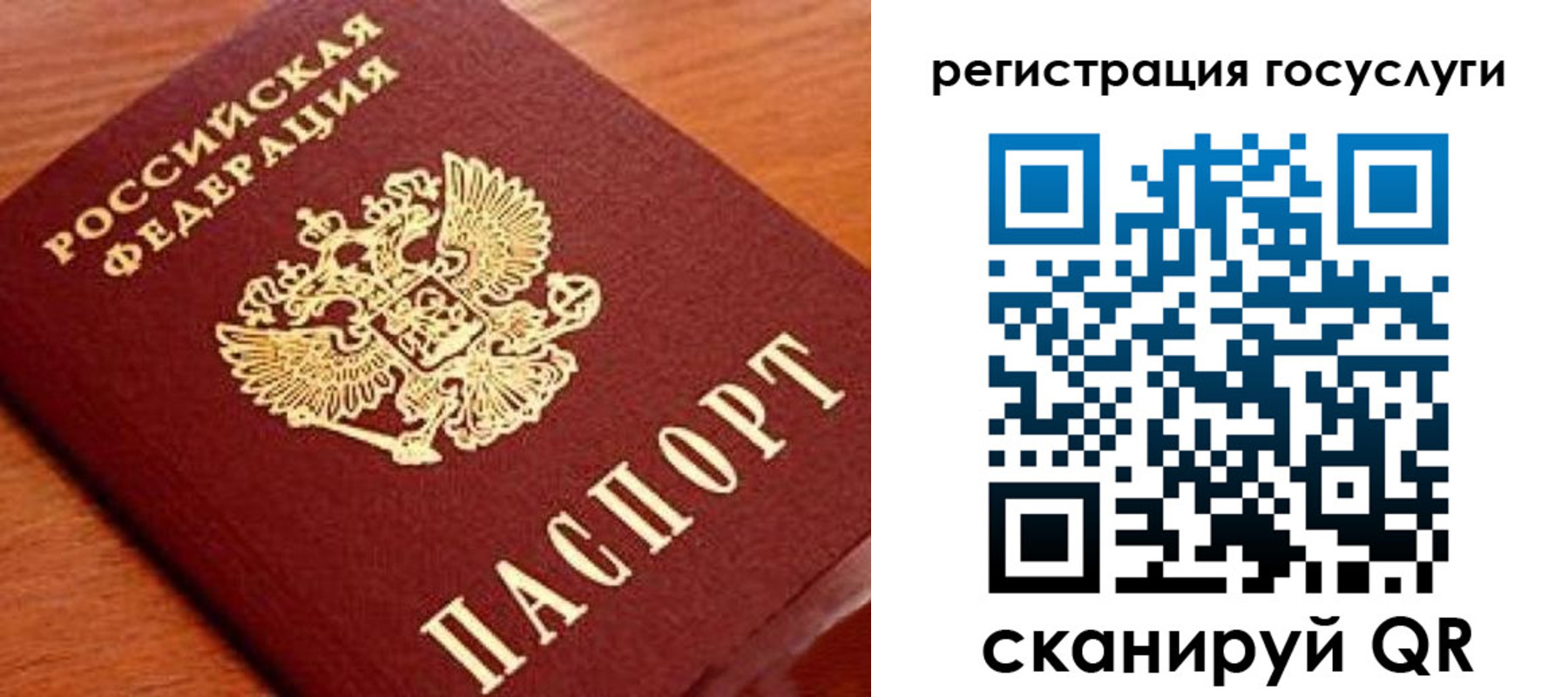 прописка иностранных граждан в Светогорске